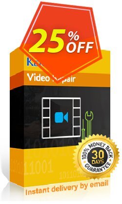 Kernel Video Repair – Technician 1 Year License  Special offer code 2024