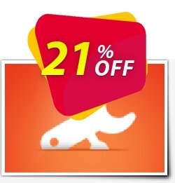 21% OFF DDR Recovery Software Professional Coupon code