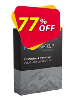 77% OFF PolarBackup Business License Coupon code