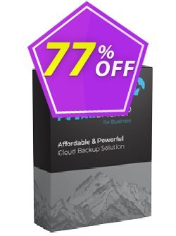 77% OFF PolarBackup Business License Coupon code