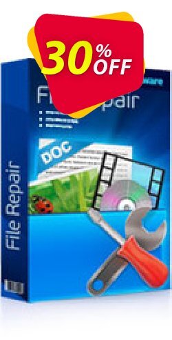 RS File Repair 1.1 hottest sales code 2024