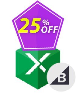 25% OFF Excel Add-in for BigCommerce Coupon code