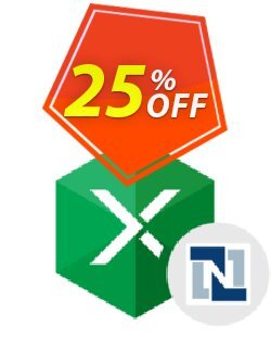 25% OFF Excel Add-in for NetSuite Coupon code