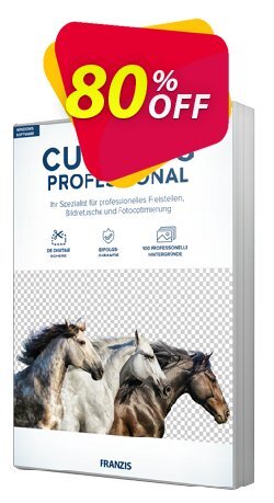 80% OFF Cutout 8 Professional Coupon code