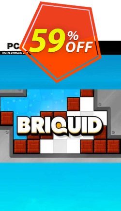 59% OFF Briquid PC Coupon code