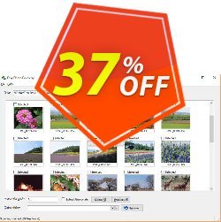 37% OFF e.World Easy Photo Recovery Coupon code