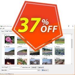 Coupon code Easy Photo Recovery