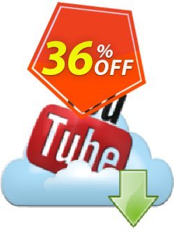 36% OFF imElfin Youtube Downloader Coupon code