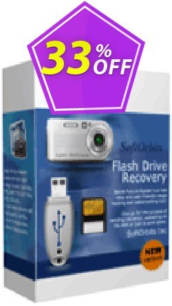 33% OFF Flash Drive Recovery - Business License Coupon code