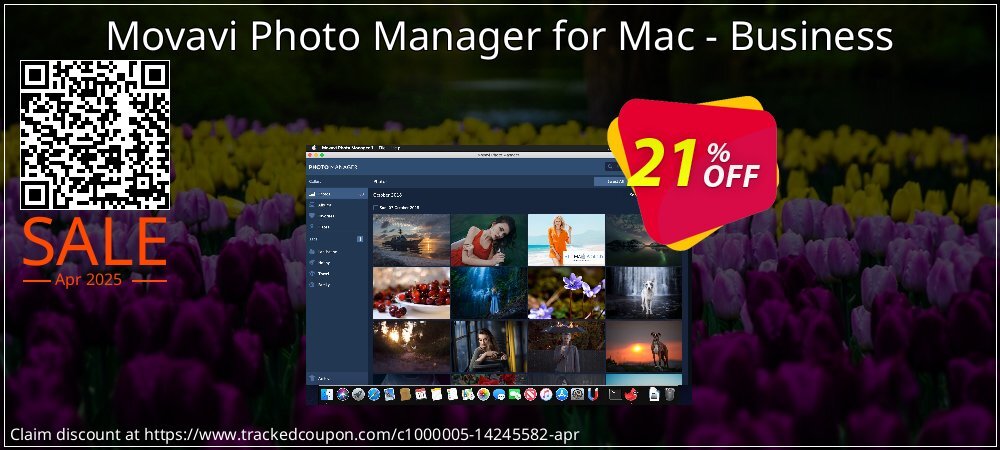Movavi Photo Manager for Mac - Business coupon on Working Day offering discount