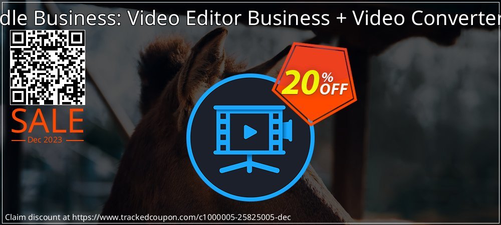 Video Bundle Business: Video Editor Business + Video Converter Premium coupon on New Year's Day offering sales