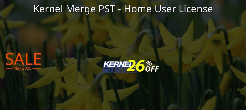 Kernel Merge PST - Home User License coupon on National Walking Day offering discount