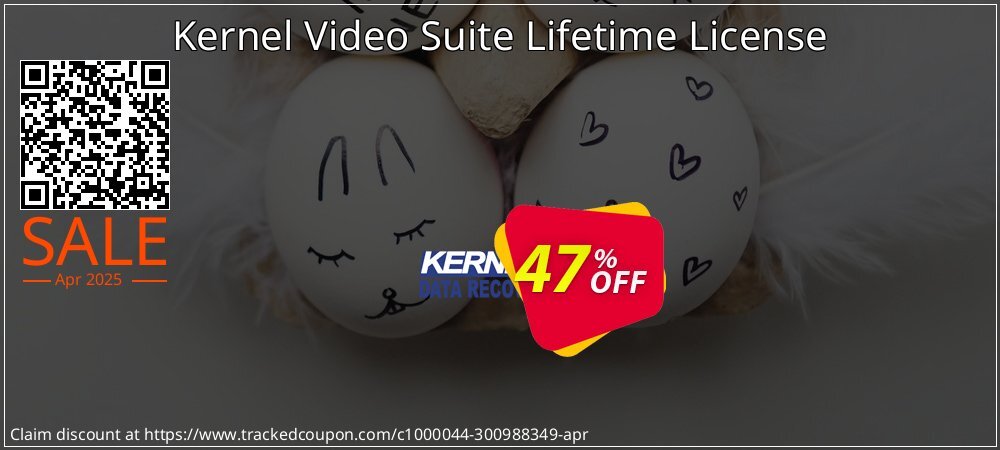 Kernel Video Suite Lifetime License coupon on National Smile Day offer