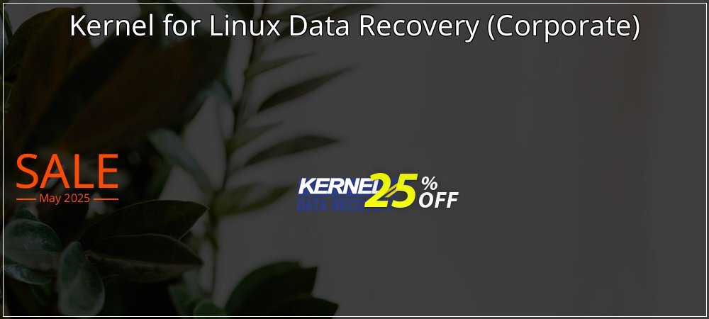 Kernel for Linux Data Recovery - Corporate  coupon on National Loyalty Day discounts