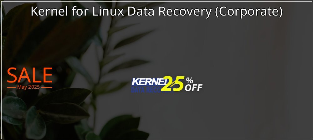 Kernel for Linux Data Recovery - Corporate  coupon on World Party Day super sale