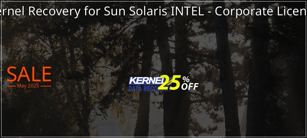 Kernel Recovery for Sun Solaris INTEL - Corporate License coupon on World Party Day sales