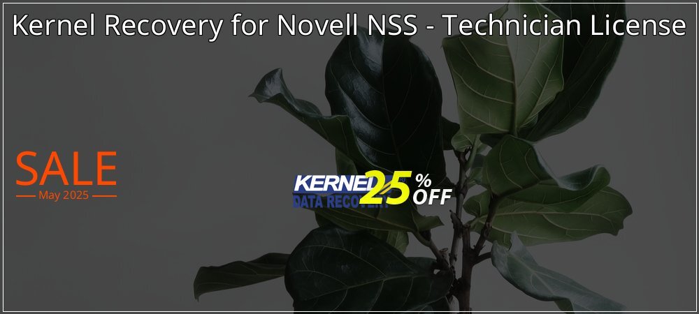 Kernel Recovery for Novell NSS - Technician License coupon on Easter Day discounts