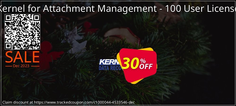 Kernel for Attachment Management - 100 User License coupon on World Party Day offering sales
