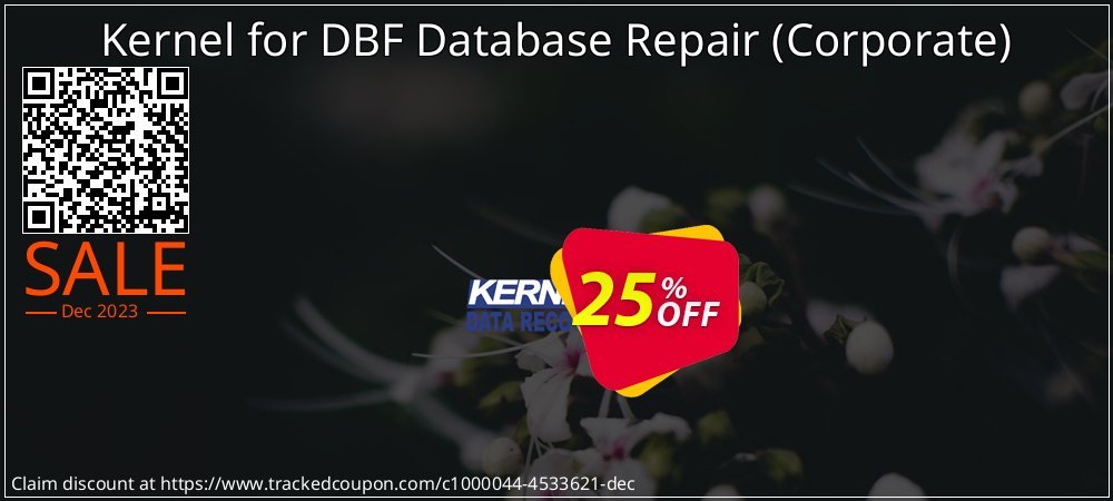 Kernel for DBF Database Repair - Corporate  coupon on World Party Day promotions