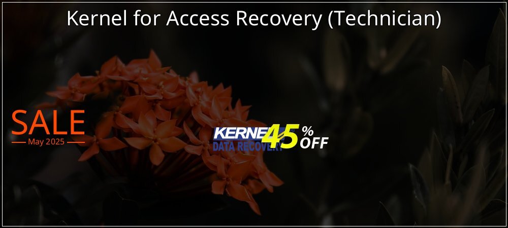 Kernel for Access Recovery - Technician  coupon on April Fools' Day deals