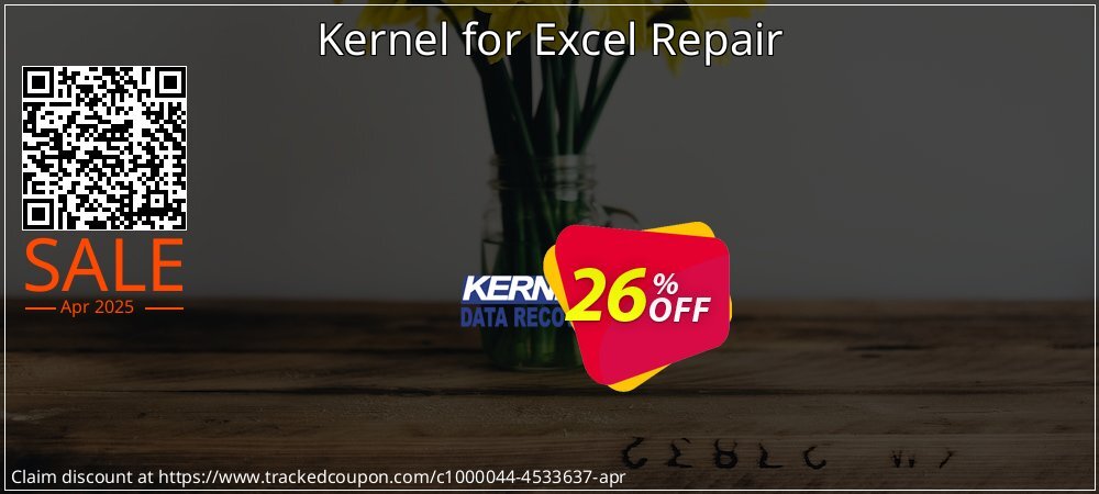 Kernel for Excel Repair coupon on National Memo Day discounts