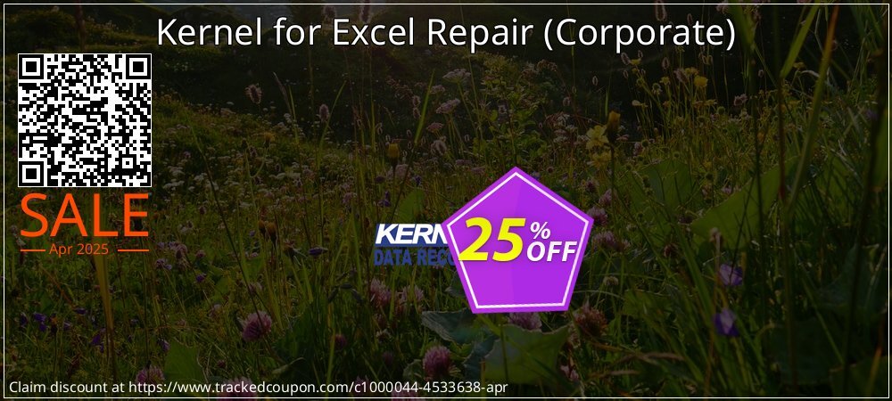 Kernel for Excel Repair - Corporate  coupon on Constitution Memorial Day promotions