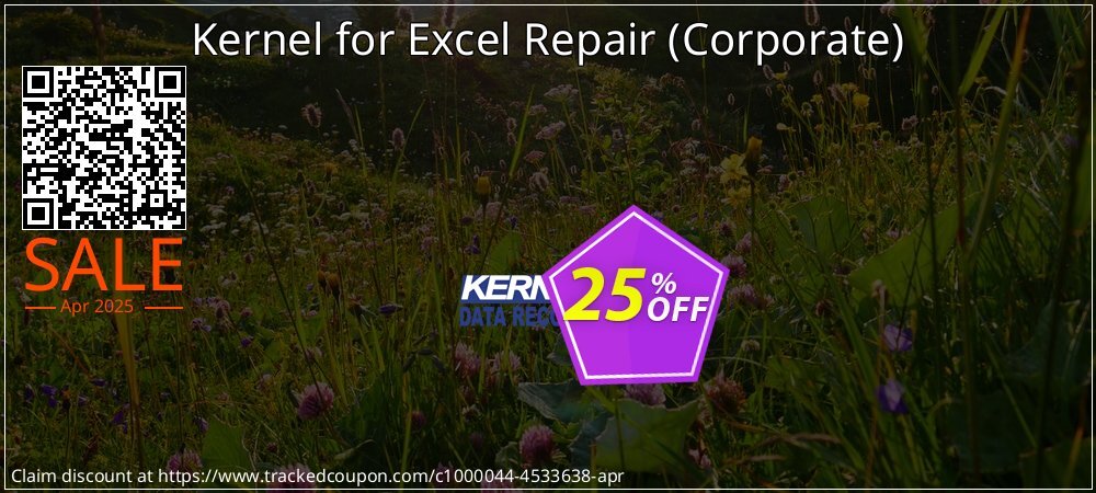 Kernel for Excel Repair - Corporate  coupon on National Pizza Party Day promotions