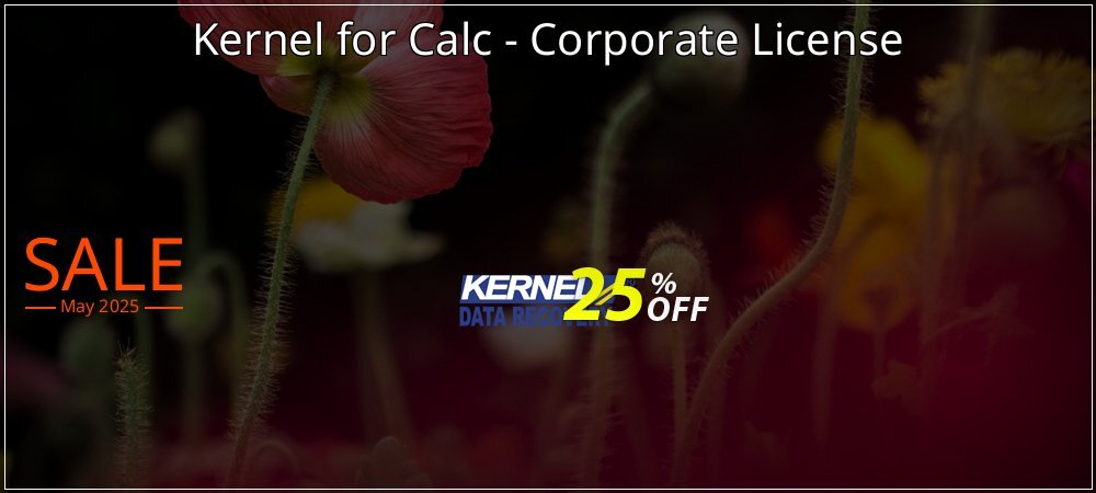 Kernel for Calc - Corporate License coupon on Virtual Vacation Day promotions