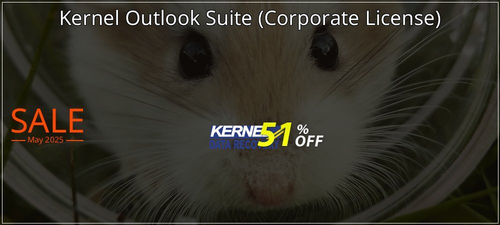 Kernel Outlook Suite - Corporate License  coupon on Palm Sunday offering sales