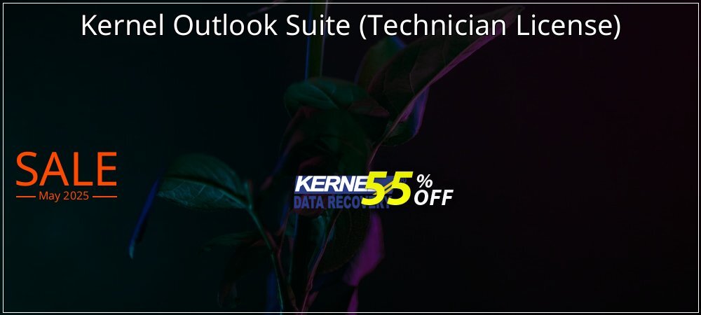 Kernel Outlook Suite - Technician License  coupon on Easter Day promotions