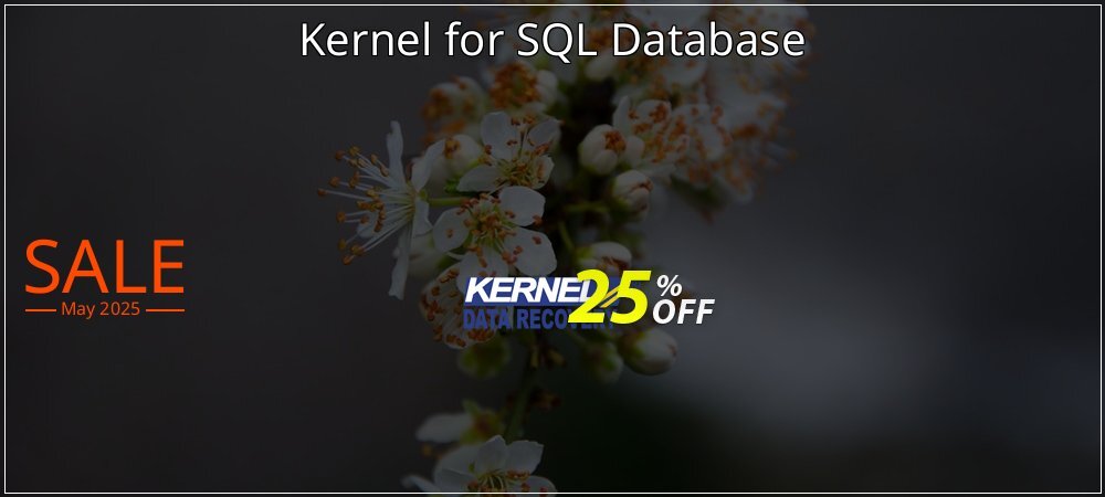 Kernel for SQL Database coupon on Camera Day offering sales