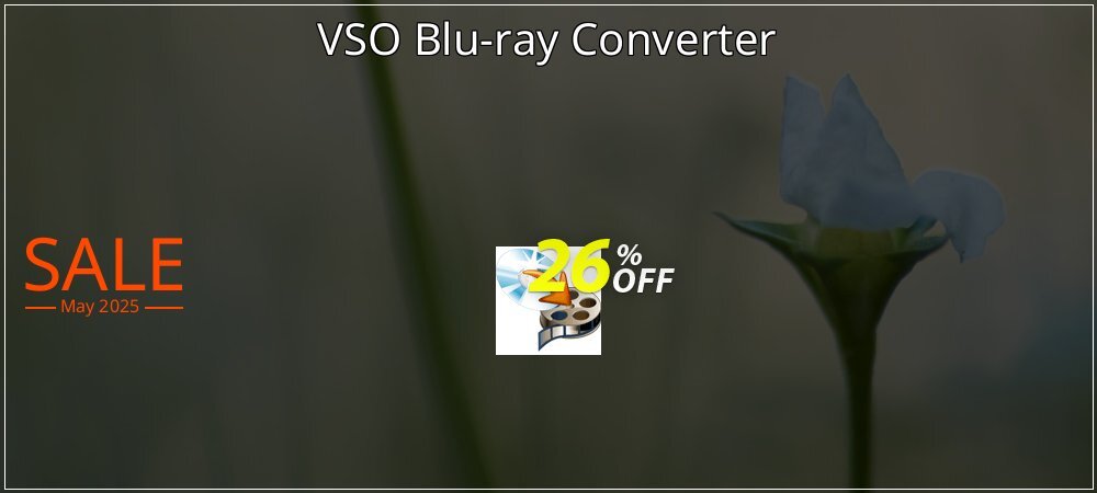 VSO Blu-ray Converter coupon on Working Day offering sales