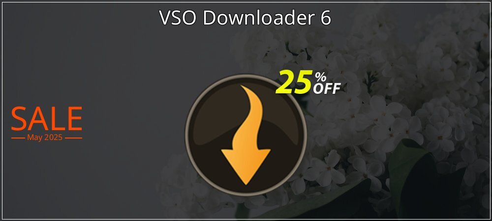 VSO Downloader 6 coupon on National Loyalty Day offering sales