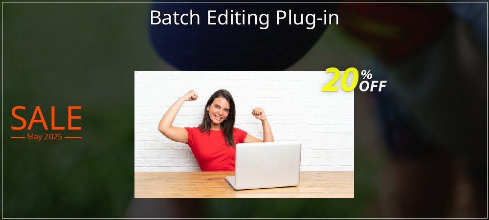 Batch Editing Plug-in coupon on National Pizza Party Day sales