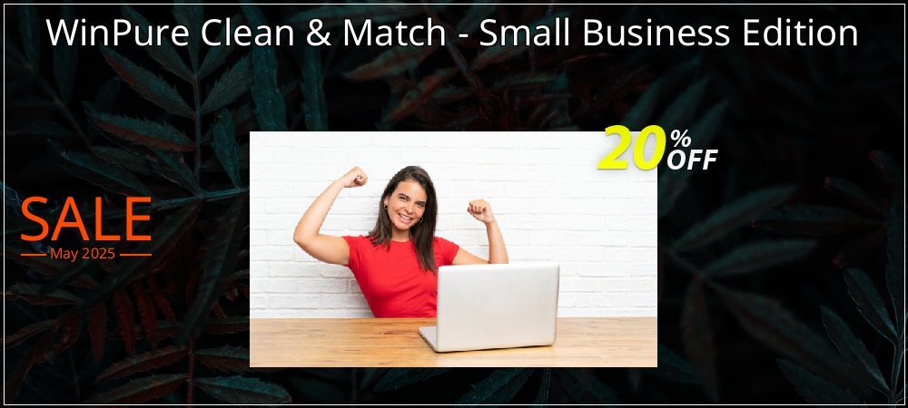 WinPure Clean & Match - Small Business Edition coupon on Mother Day discount