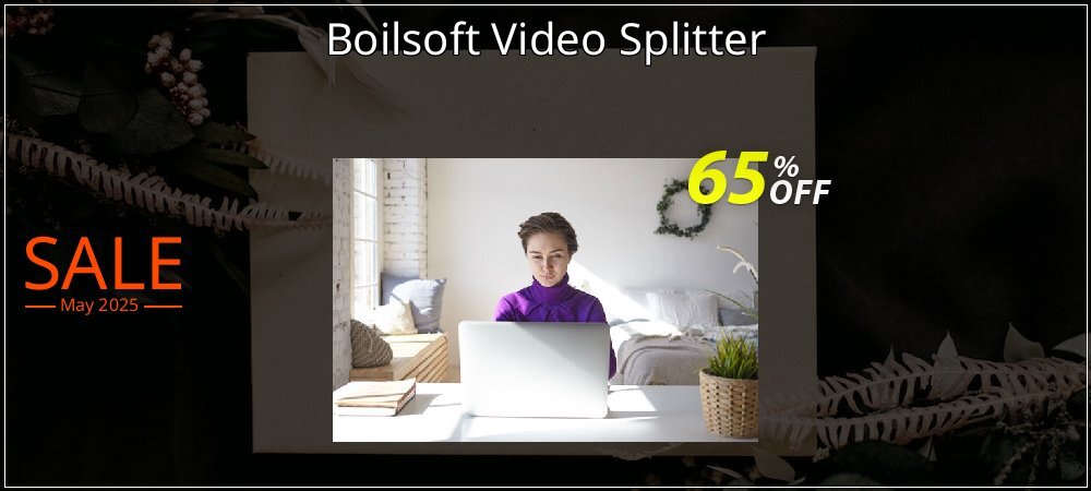 Boilsoft Video Splitter coupon on National Memo Day promotions