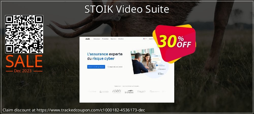 STOIK Video Suite coupon on Easter Day discounts
