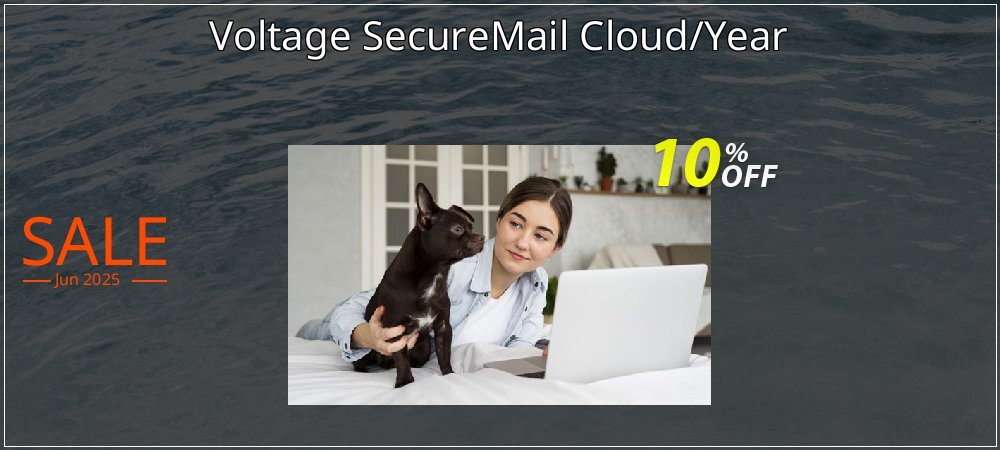 Voltage SecureMail Cloud/Year coupon on Summer super sale