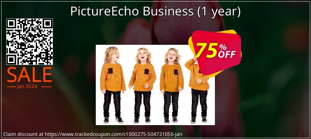 PictureEcho Business - 1 year  coupon on New Year's Day deals
