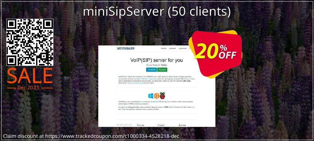 miniSipServer - 50 clients  coupon on Easter Day discounts