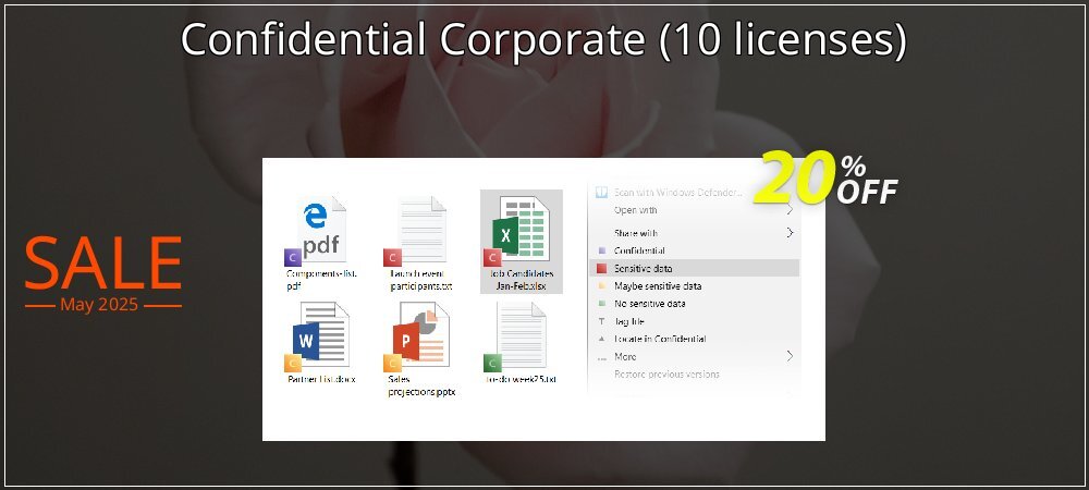 Confidential Corporate - 10 licenses  coupon on World Party Day sales