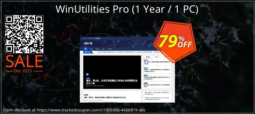 WinUtilities Pro - 1 Year / 1 PC  coupon on Kiss Day offer
