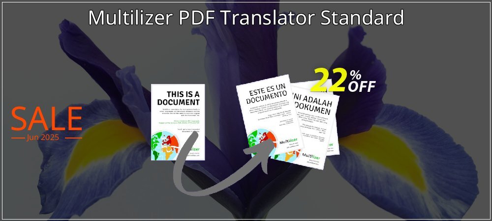 Multilizer PDF Translator Standard coupon on Mother's Day offering sales