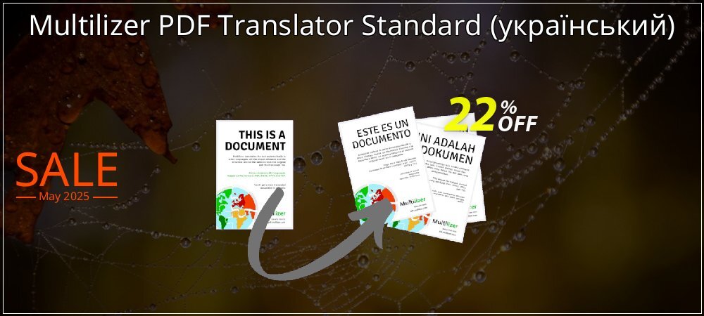 Multilizer PDF Translator Standard - український  coupon on National Walking Day offering discount