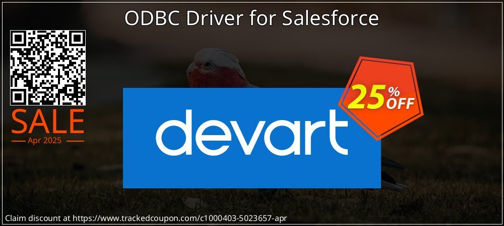 ODBC Driver for Salesforce coupon on Working Day discount