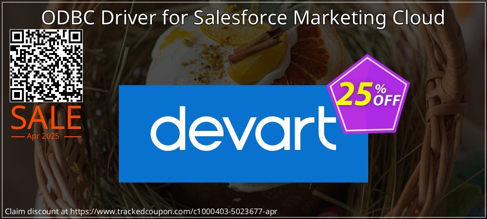 ODBC Driver for Salesforce Marketing Cloud coupon on Working Day offering sales