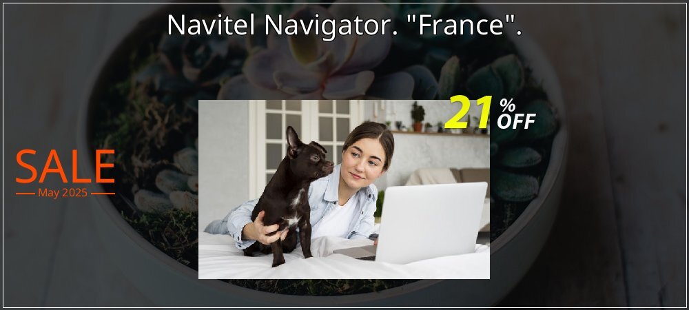 Navitel Navigator. 