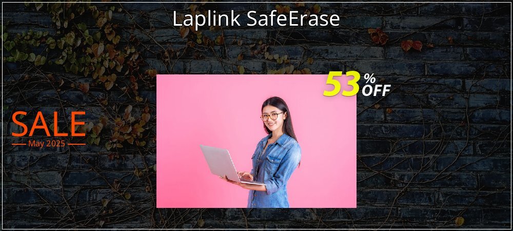 Laplink SafeErase coupon on Working Day offering discount