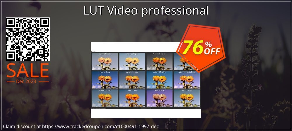 LUT Video professional coupon on Working Day promotions