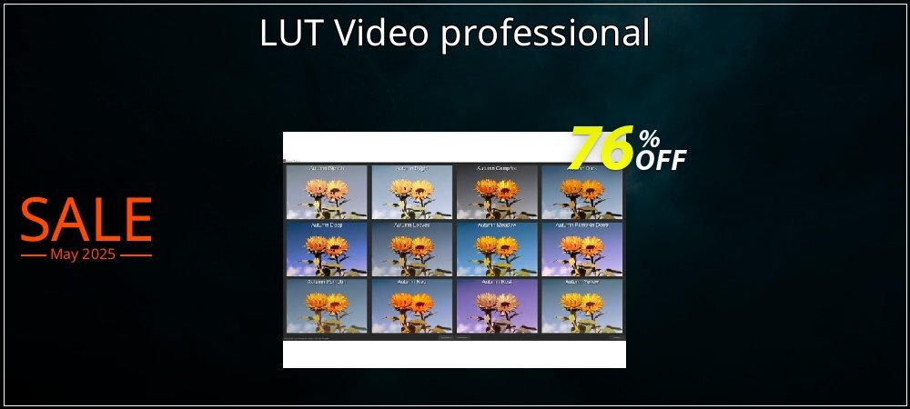 LUT Video professional coupon on Working Day promotions